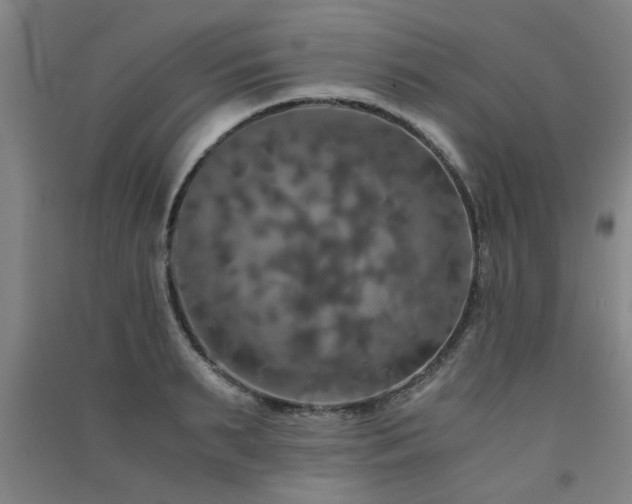 X0000091550895200708171303