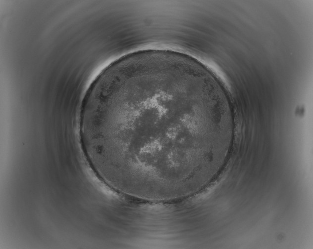 X0000091550896200708171303