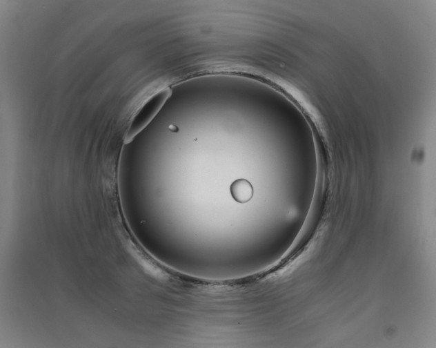 X0000091550897200708171303