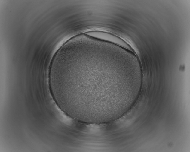X0000091550898200708171303