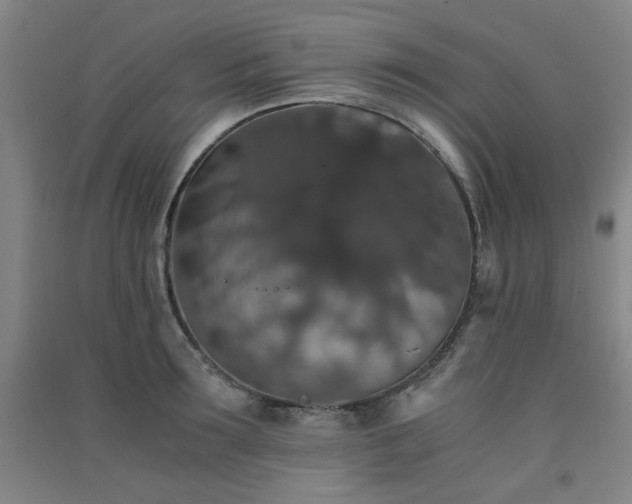 X0000091550899200708171303