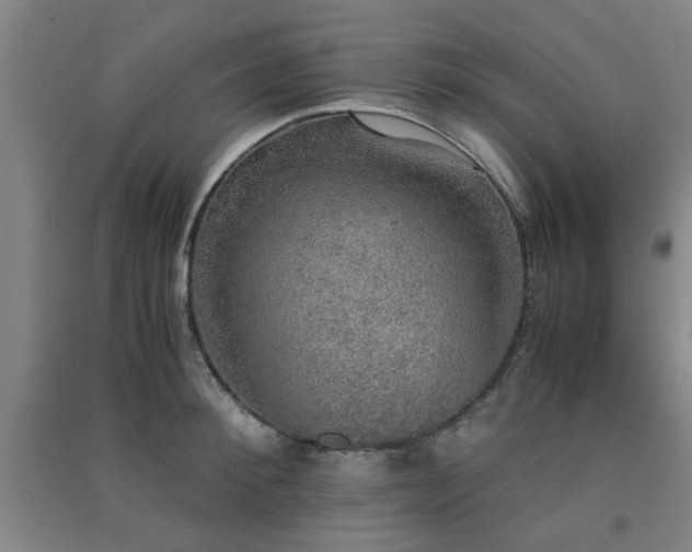 X0000091550900200708171303
