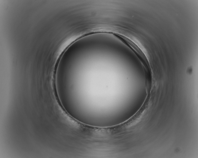 X0000091550901200708171303