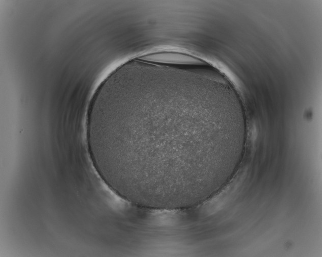 X0000091550902200708171303