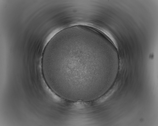 X0000091550906200708171303