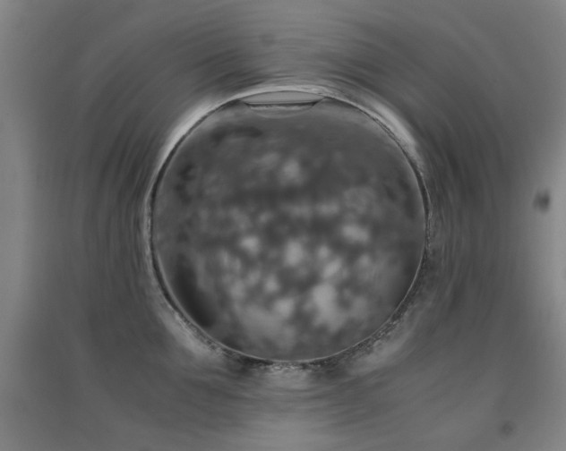 X0000091550907200708171303