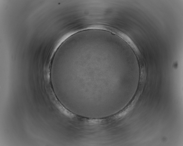 X0000091550908200708171303