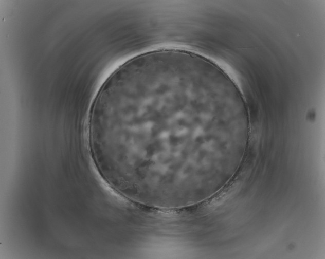 X0000091550911200708171303