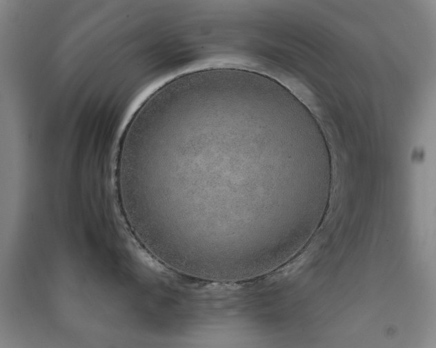 X0000091550912200708171303