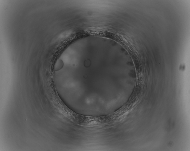 X0000091550913200708171302