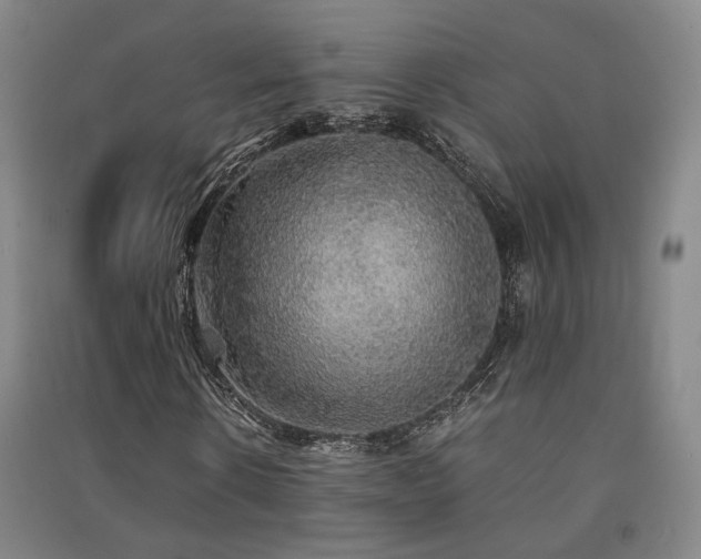 X0000091550914200708171302