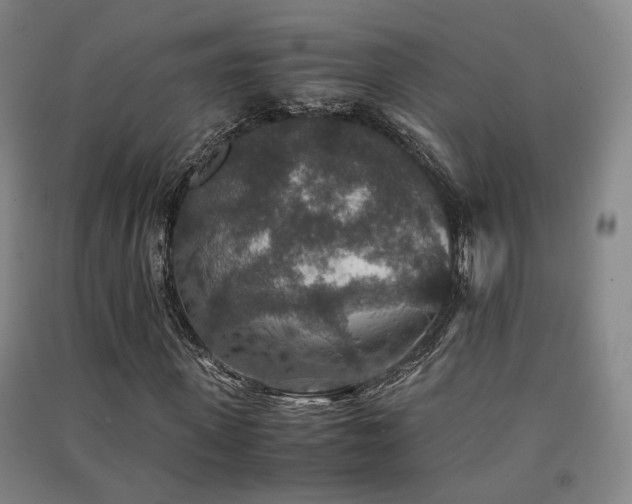 X0000091550915200708171302