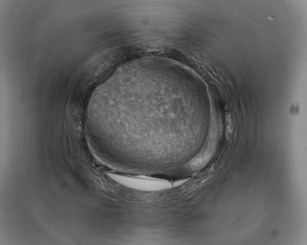 X0000091550916200708171302