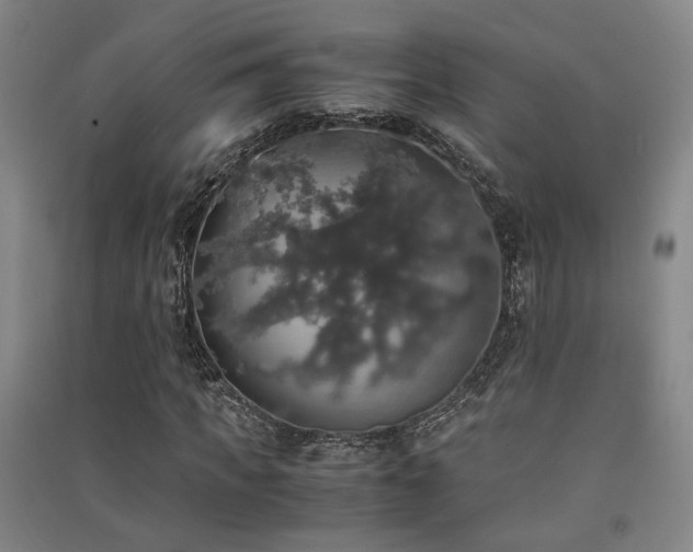X0000091550917200708171302