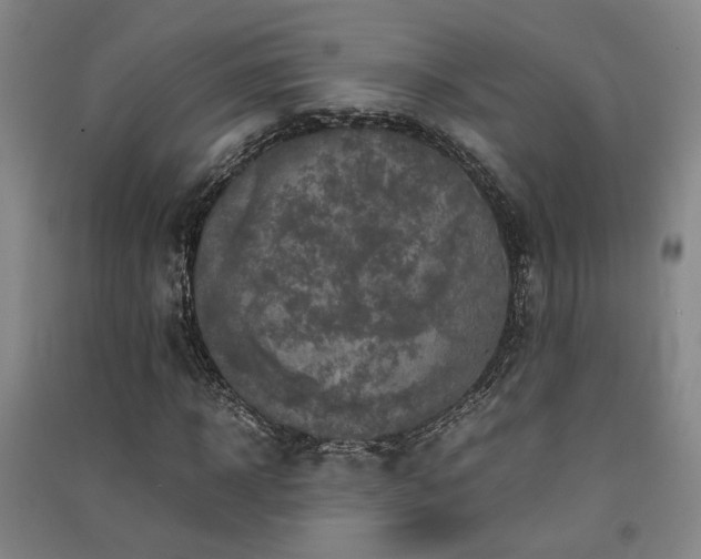X0000091550918200708171302