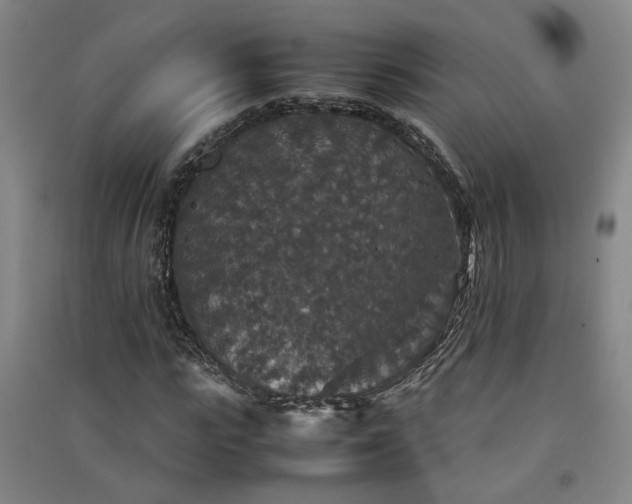 X0000091550919200708171302