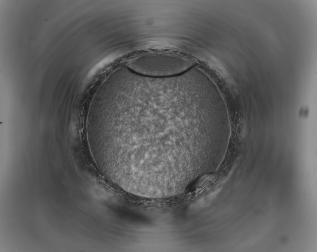 X0000091550920200708171302