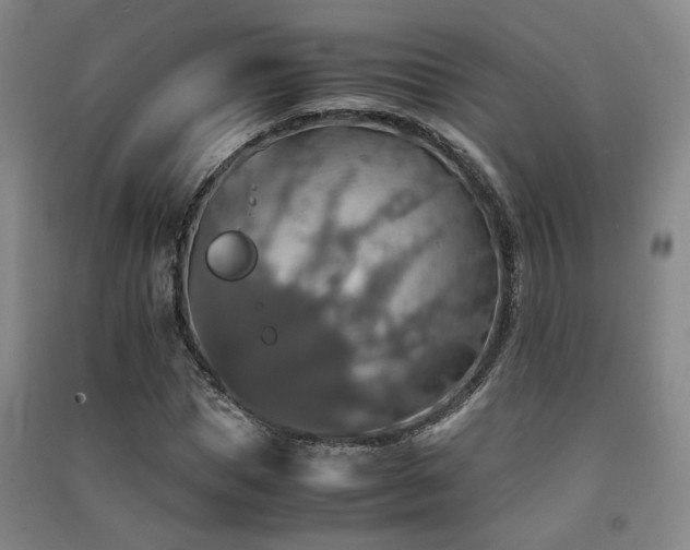 X0000091550921200708171302