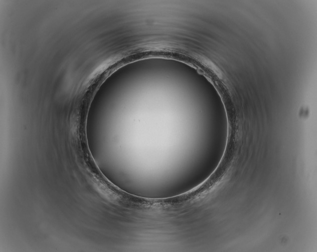 X0000091550922200708171302