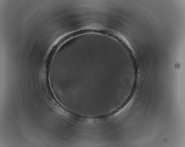 X0000091550923200708171302