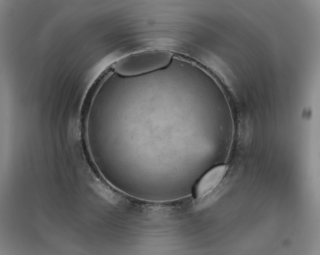X0000091550924200708171302