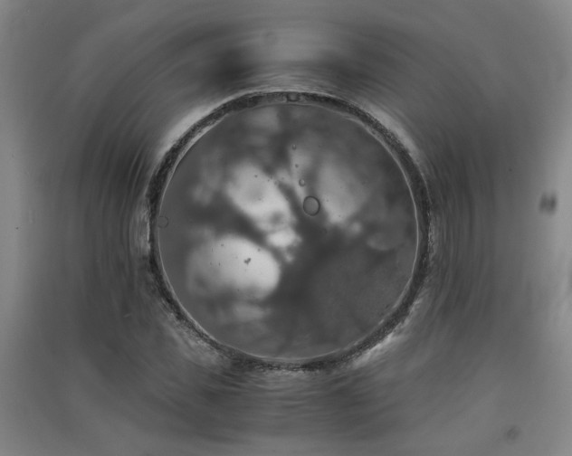 X0000091550925200708171302