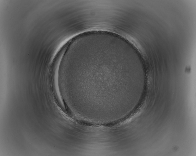 X0000091550926200708171302