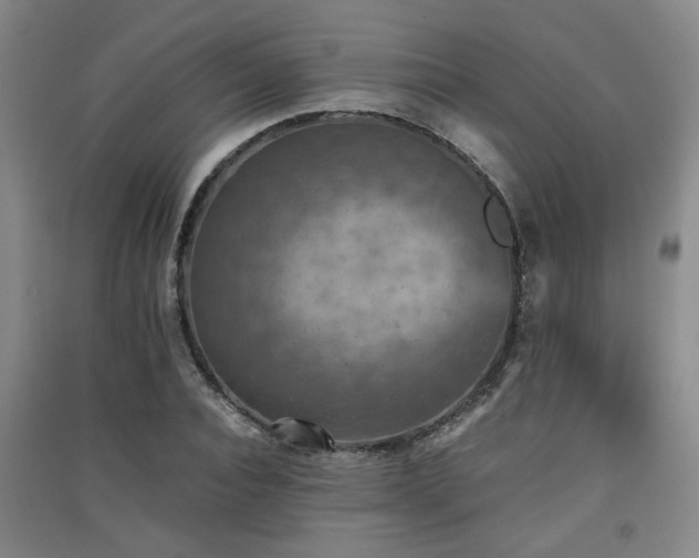 X0000091550928200708171302
