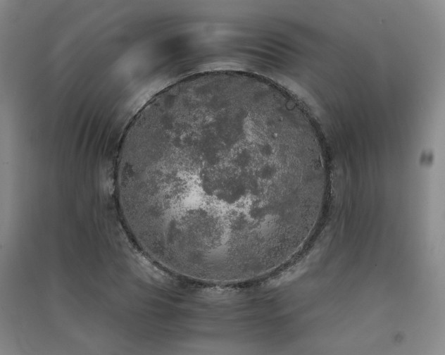 X0000091550929200708171302