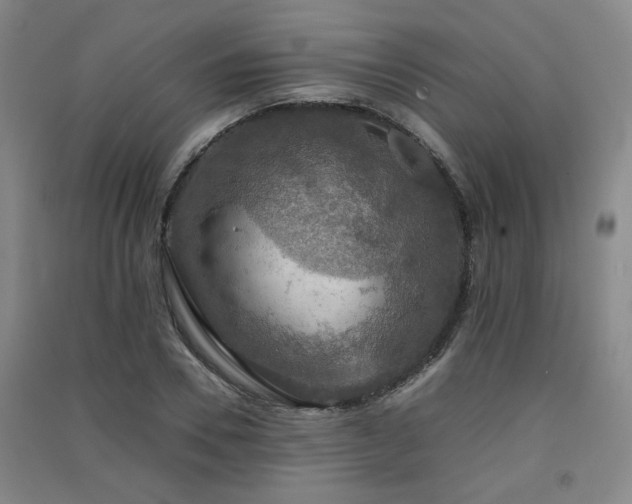 X0000091550930200708171302