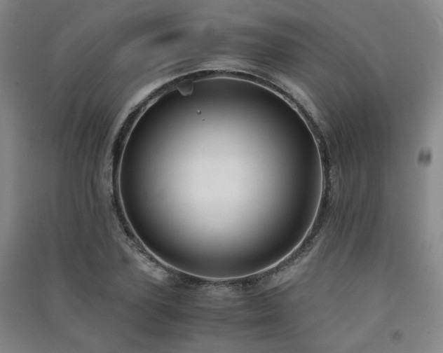 X0000091550931200708171303