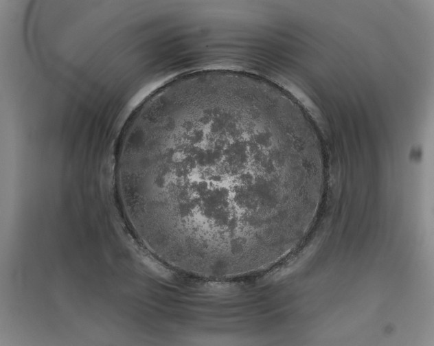 X0000091550933200708171303