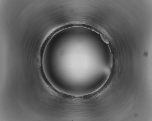 X0000091550934200708171303