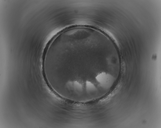 X0000091550935200708171303