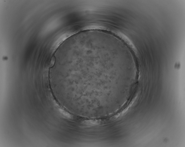 X0000091550937200708171303
