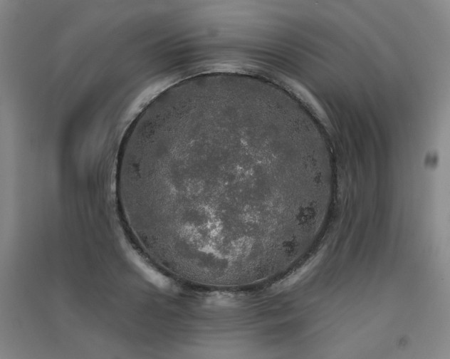 X0000091550938200708171303