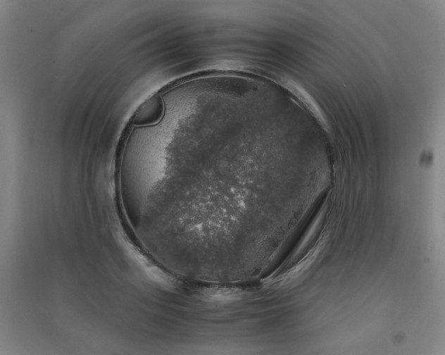 X0000091550939200708171303
