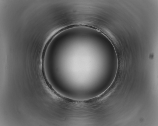 X0000091550940200708171303