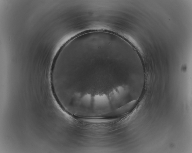 X0000091550943200708171303
