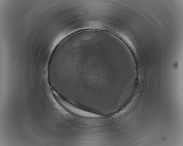 X0000091550944200708171303