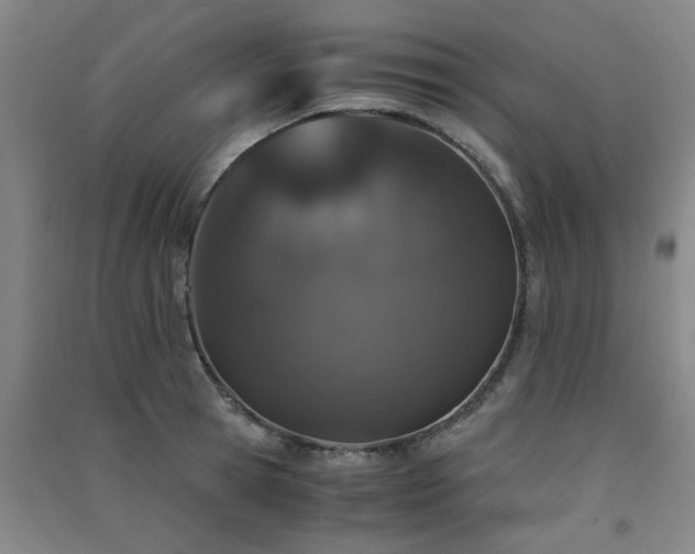 X0000091550945200708171303