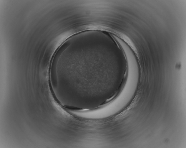 X0000091550946200708171303