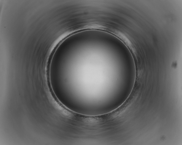 X0000091550947200708171303