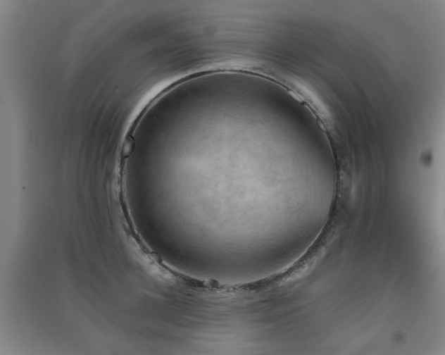 X0000091550948200708171303