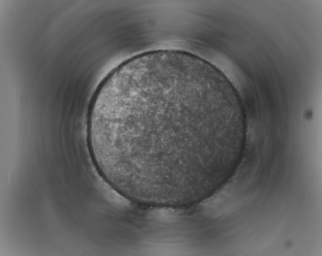 X0000091550950200708171303