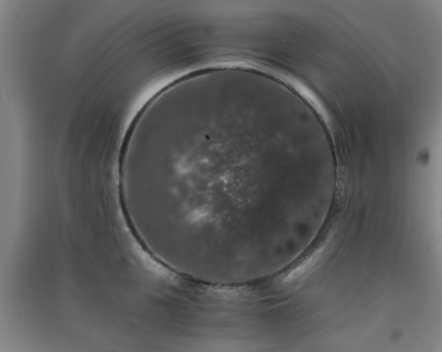 X0000091550951200708171303