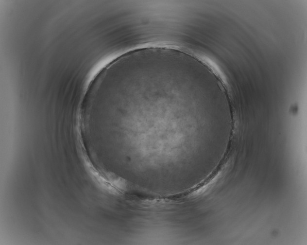 X0000091550952200708171303