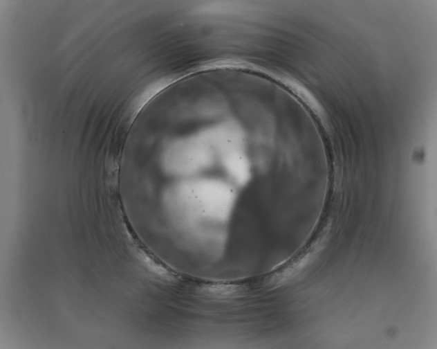 X0000091550953200708171303