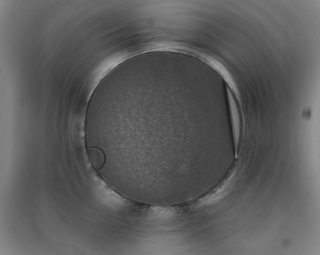 X0000091550954200708171303