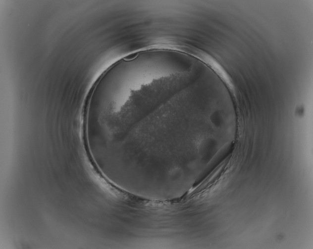 X0000091550955200708171303